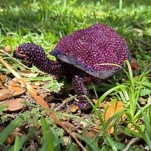 Sparkling Swarovski Crystal Embellished Turtle Handcrafted Unbranded